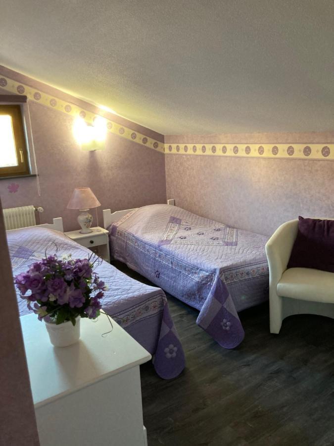 Gite De La Streng Ribeauville  Bagian luar foto