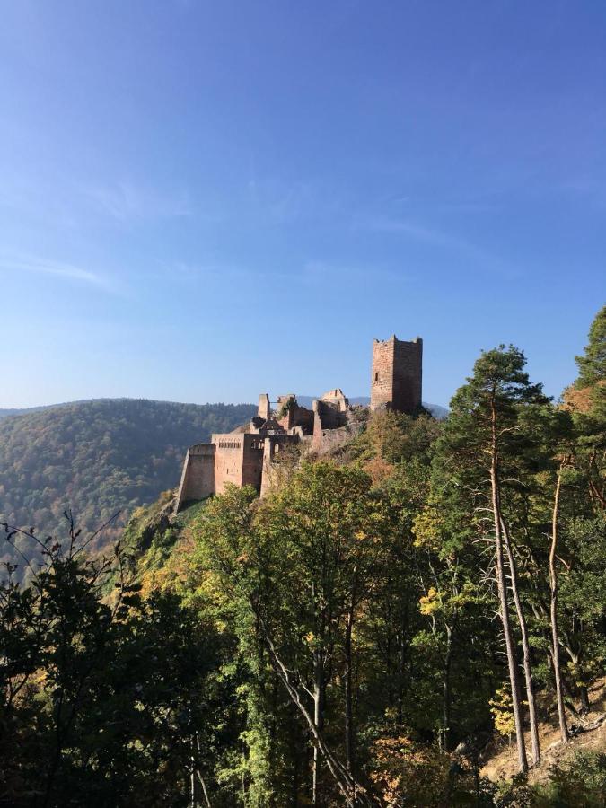 Gite De La Streng Ribeauville  Bagian luar foto