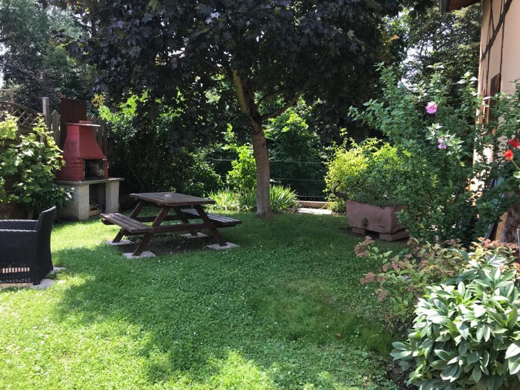 Gite De La Streng Ribeauville  Bagian luar foto